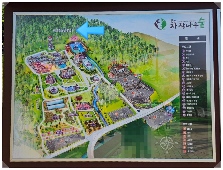 용인자작나무숲펜션 이미지
