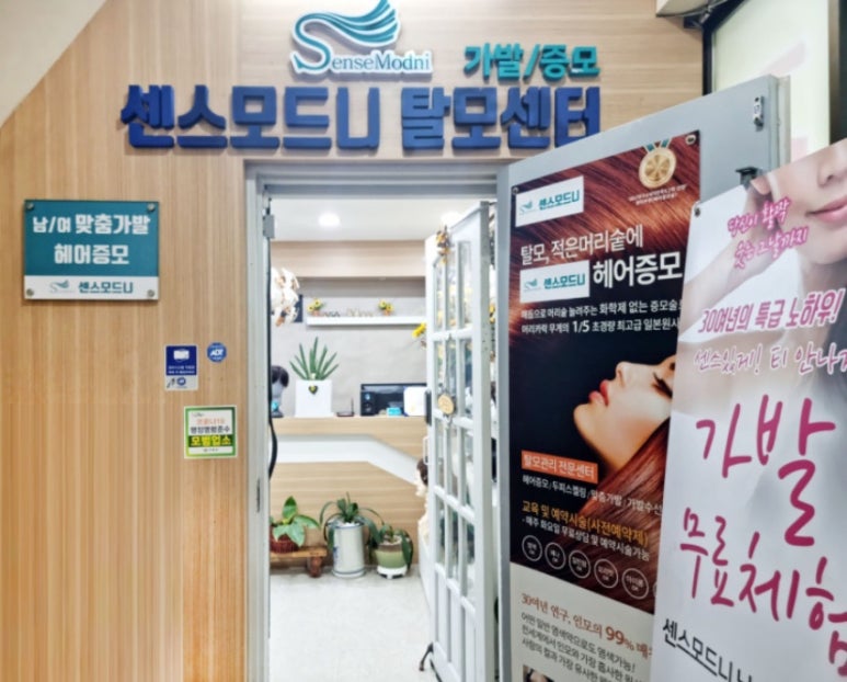 센스모드니 이미지