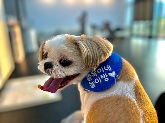 춘옥이네 이미지