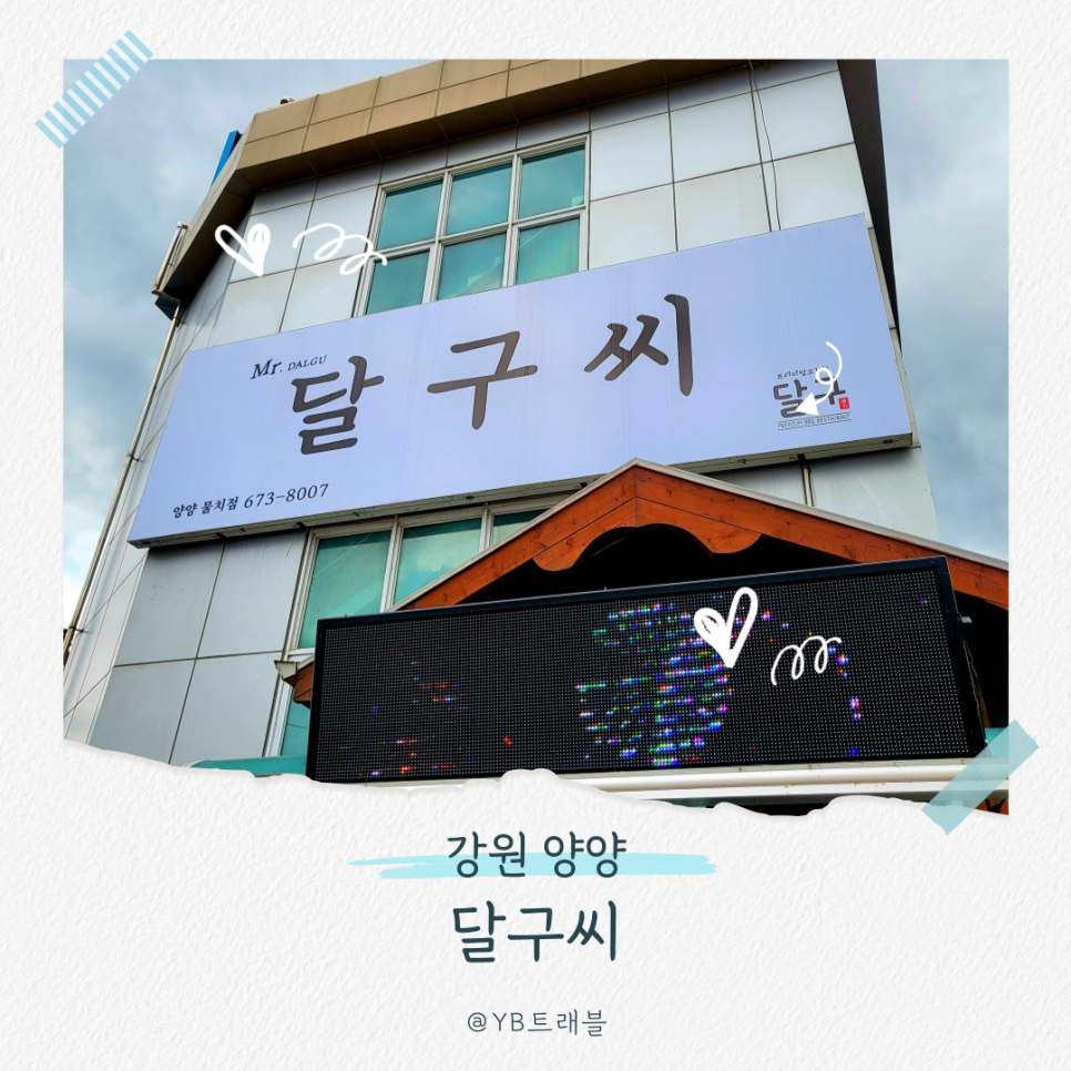 달구씨 이미지