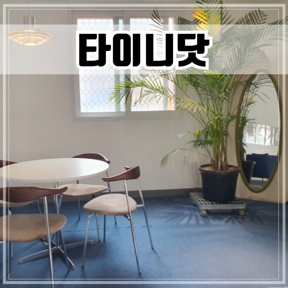 타이니닷(Tiny dot) 이미지