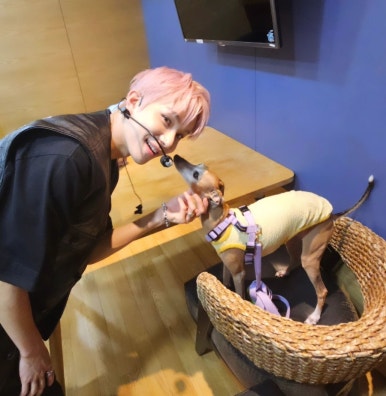 듀듀 이미지