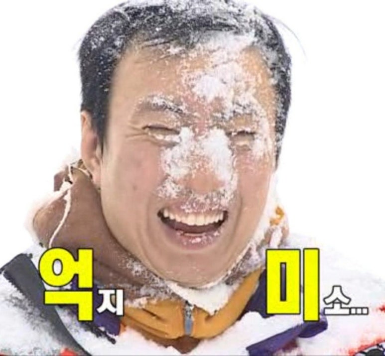오로라빙고 이미지