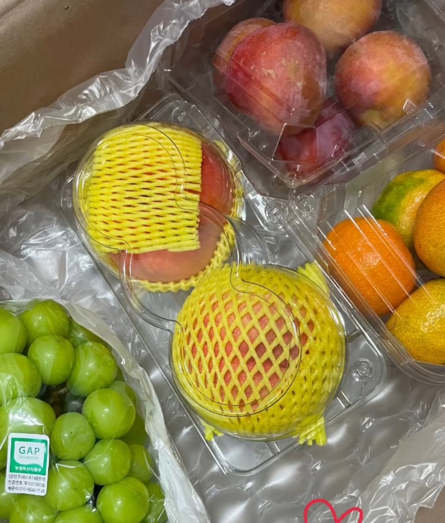 프레델 이미지