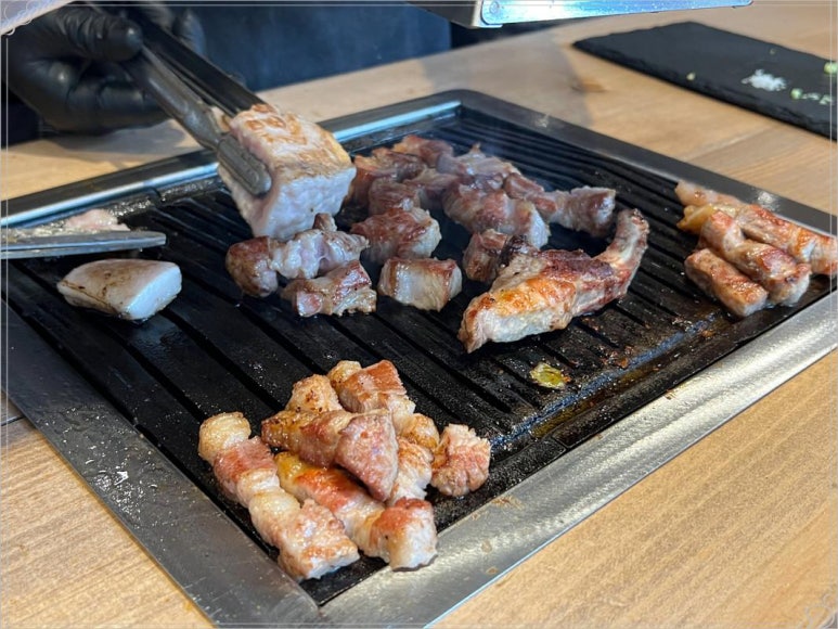 지금,돼지 이미지