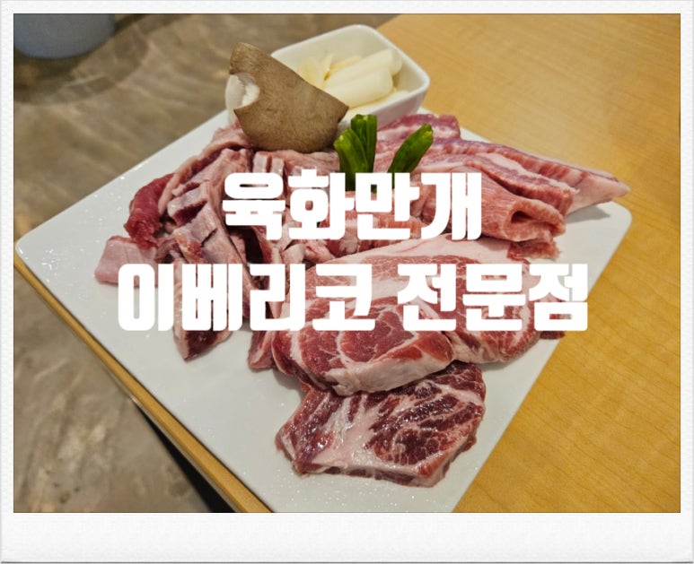 육화만개 이미지