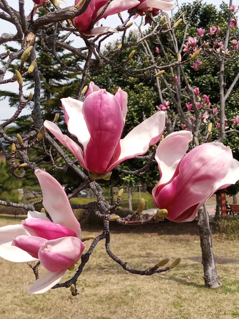 풍기SK텔레콤 이미지