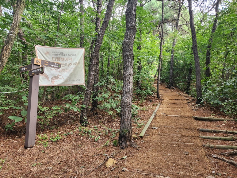 소래산정상 이미지