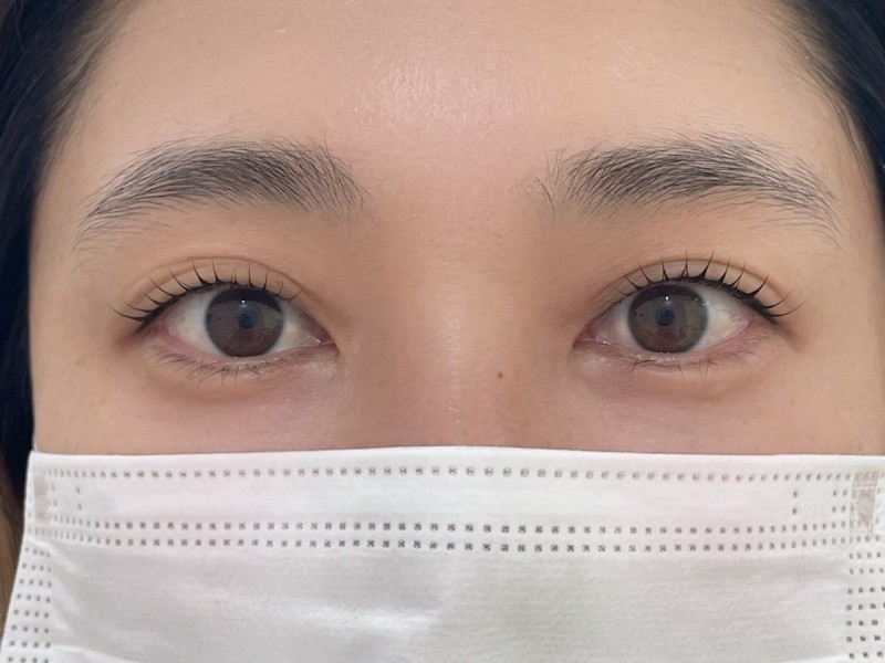 소소히브로우 이미지