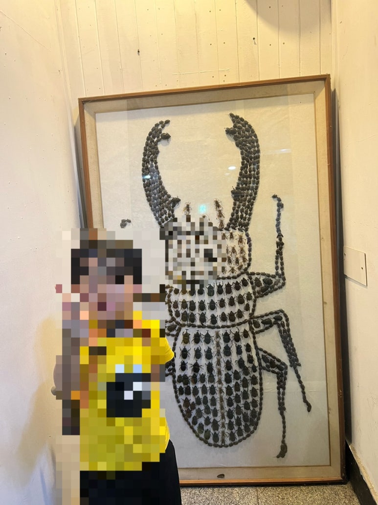 전주곤충캠퍼스 이미지