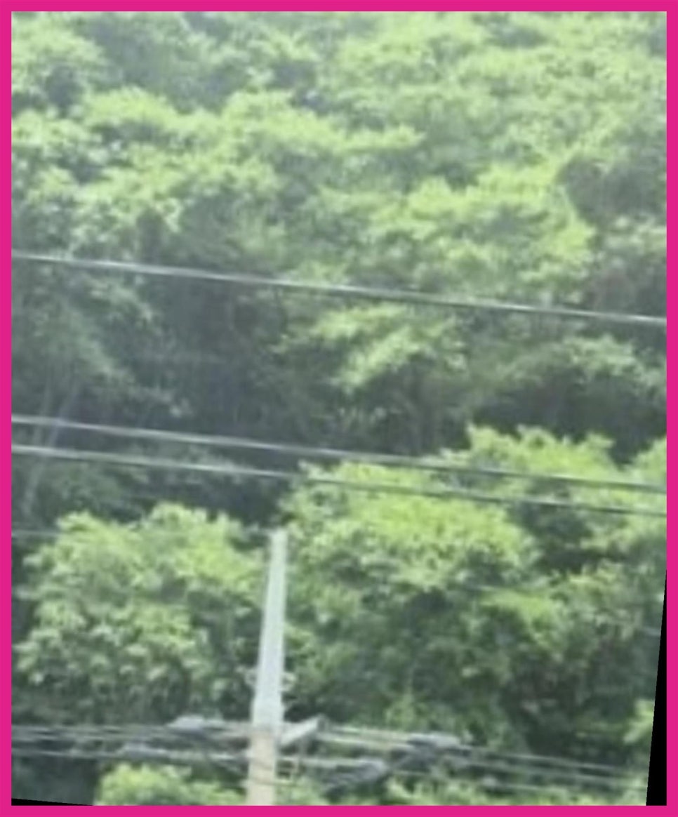 다이아스위핑 이미지