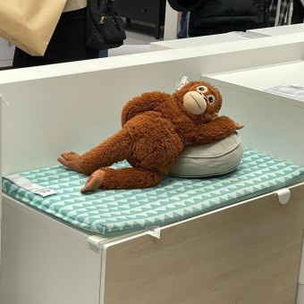 커피가 좋아 이미지
