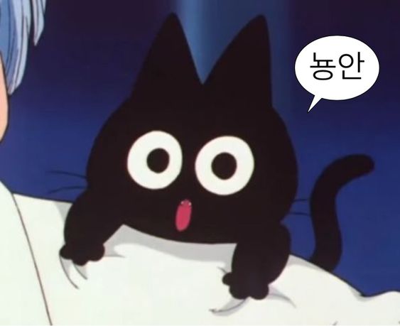큐돌 이미지