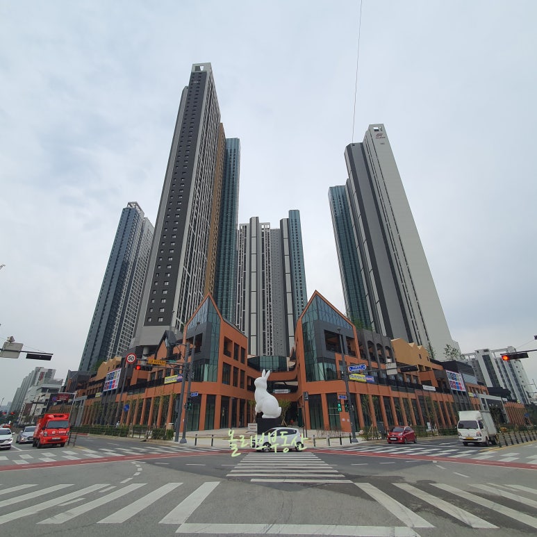 해성미트 이미지