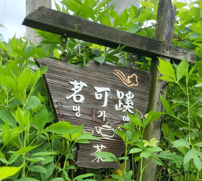 김가명가 이미지