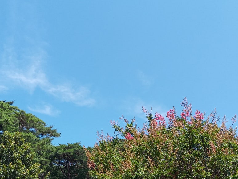 은정이발관 이미지
