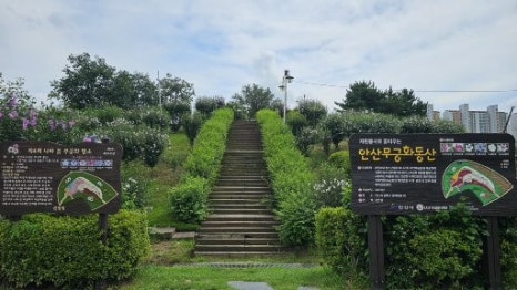 동산환경개발주 이미지