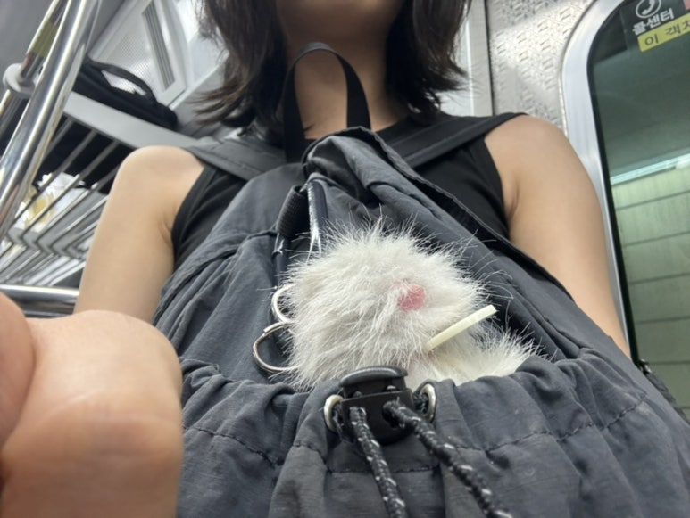 고성가야밀면 이미지