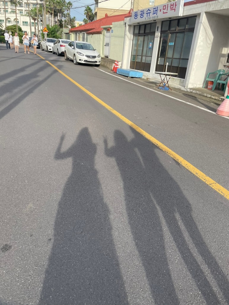 백조노래연습장 이미지