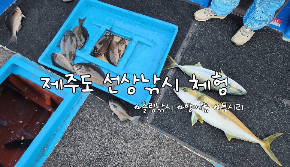 부영호 이미지