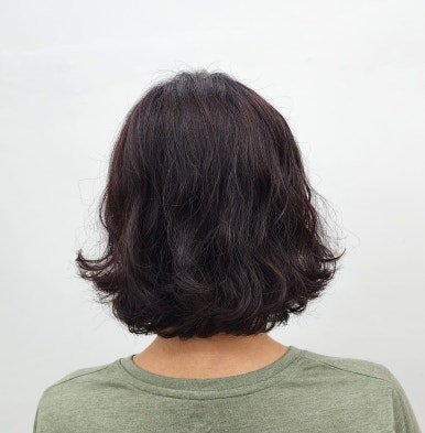 엘시크 이미지