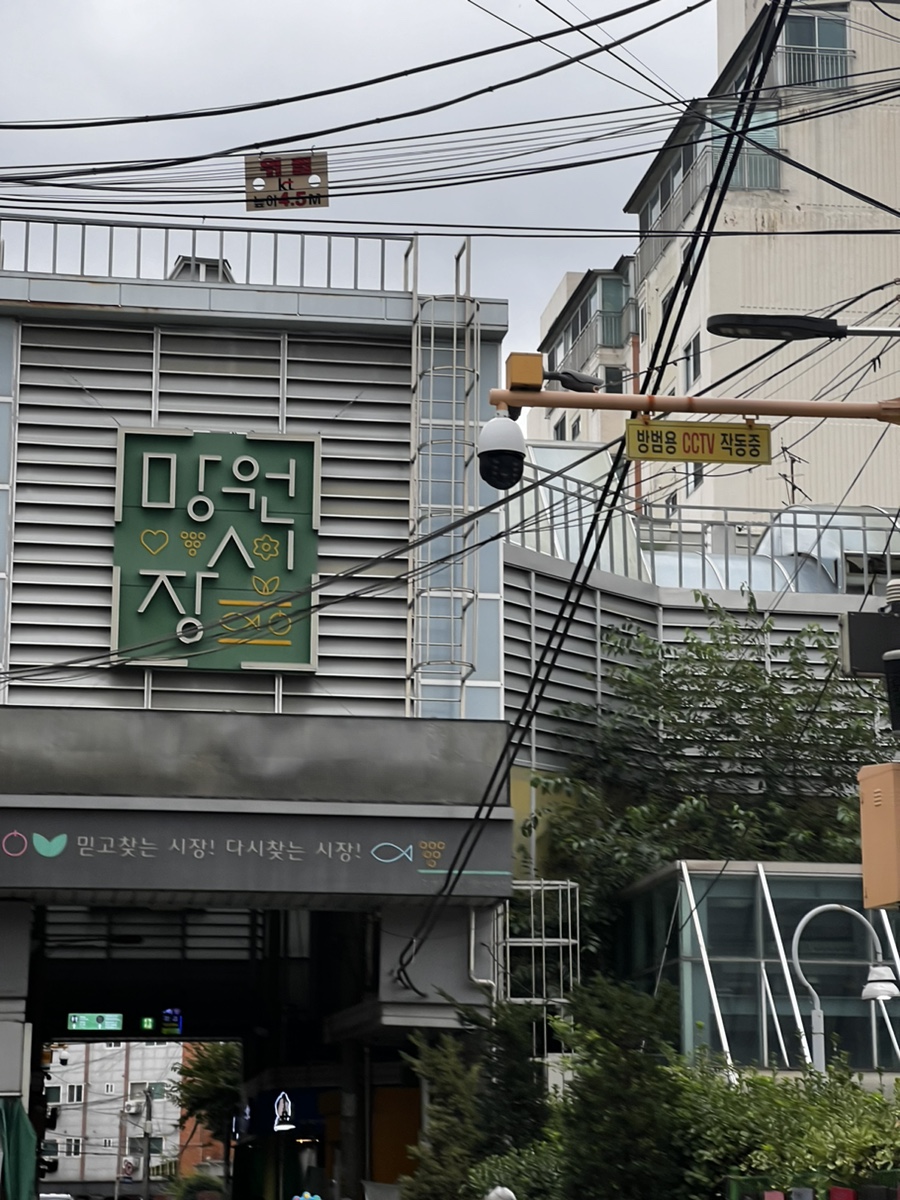 정이청과 이미지