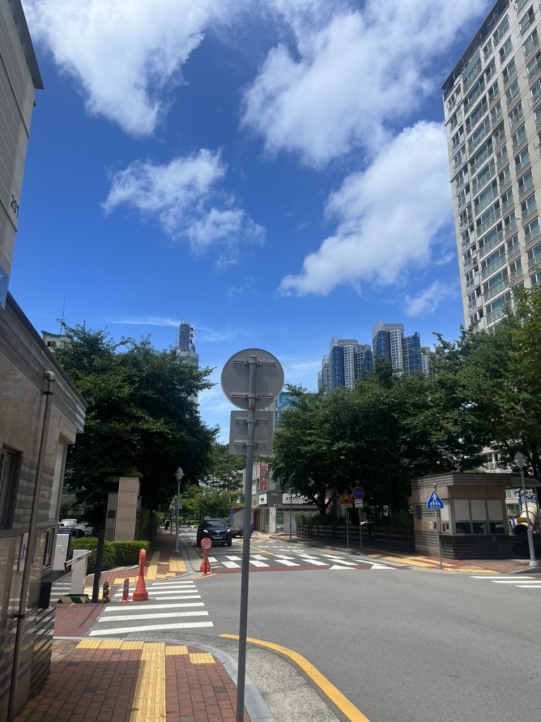 대바기네 이미지