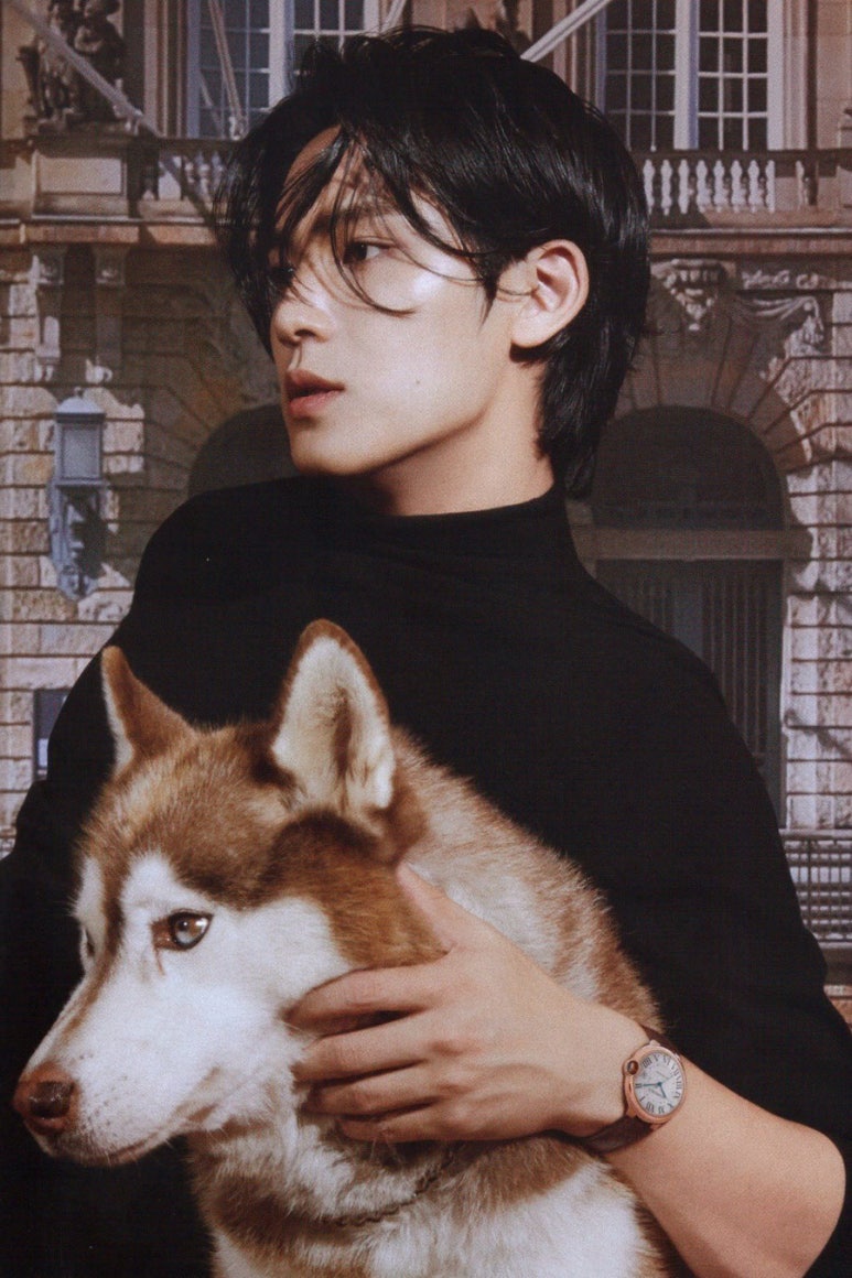 오하요 이미지