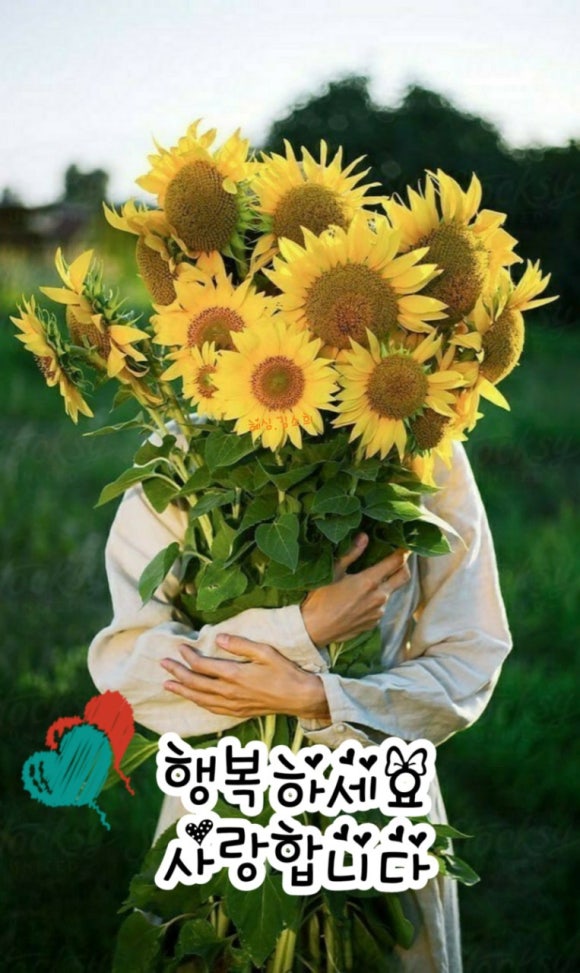 웃자웃자 이미지