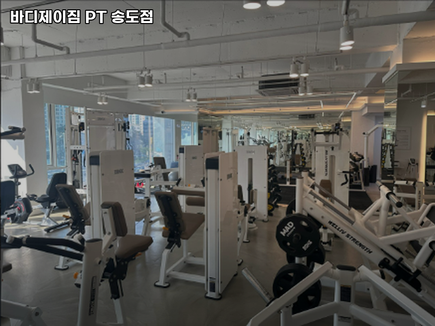 디제이짐 이미지
