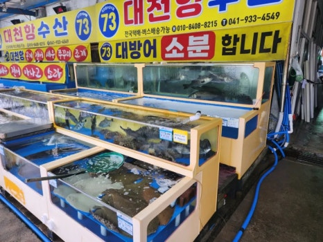 대천항수산 이미지