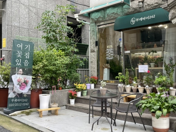 부케바이242 이미지