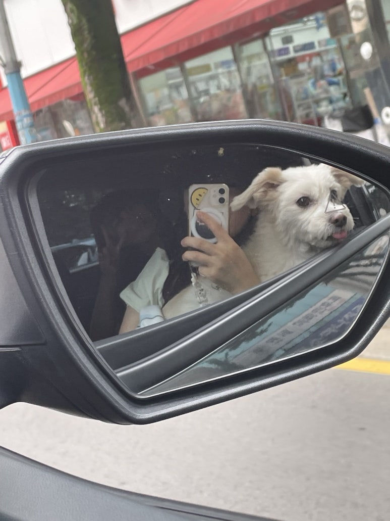 꼬미꼬미수산 이미지