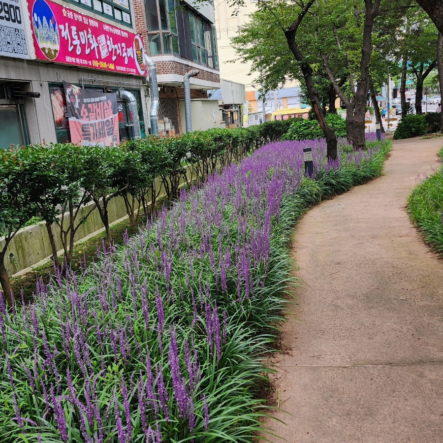 담진공방 이미지