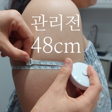 에스테라파 이미지