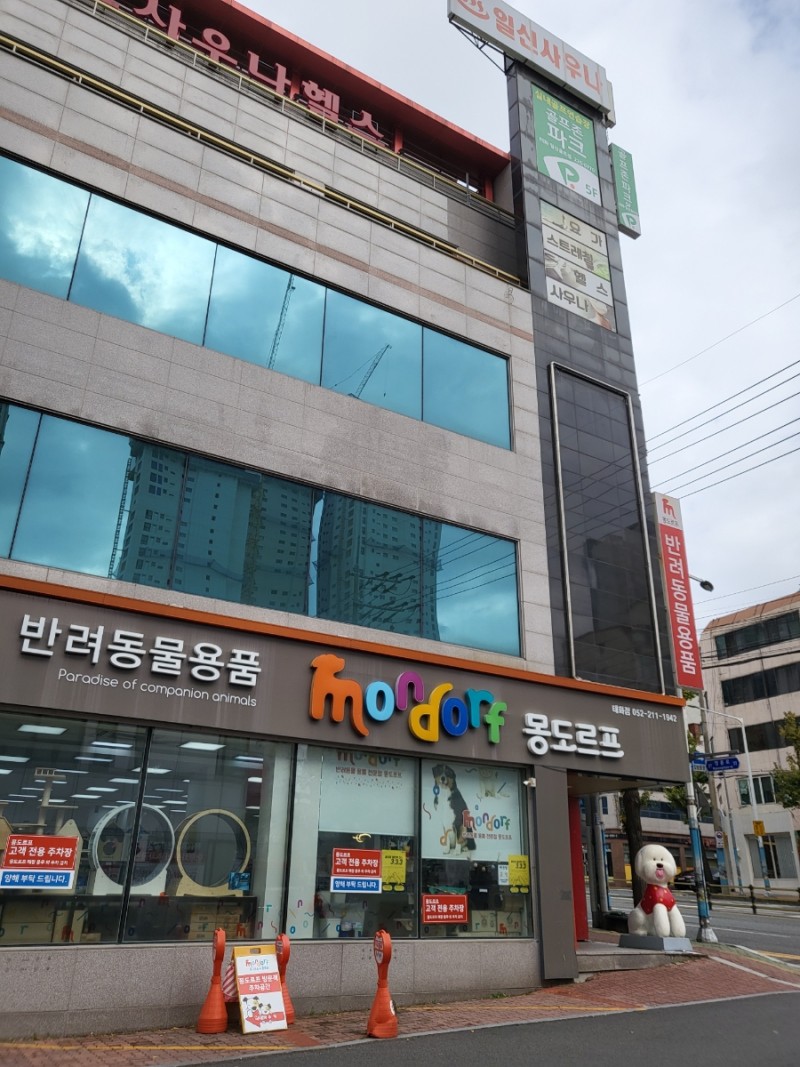 일신스포츠센터 이미지