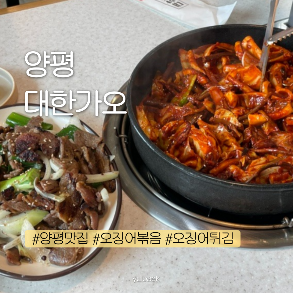대한가오 이미지