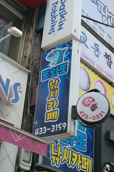 또와또실내낚시카페 이미지