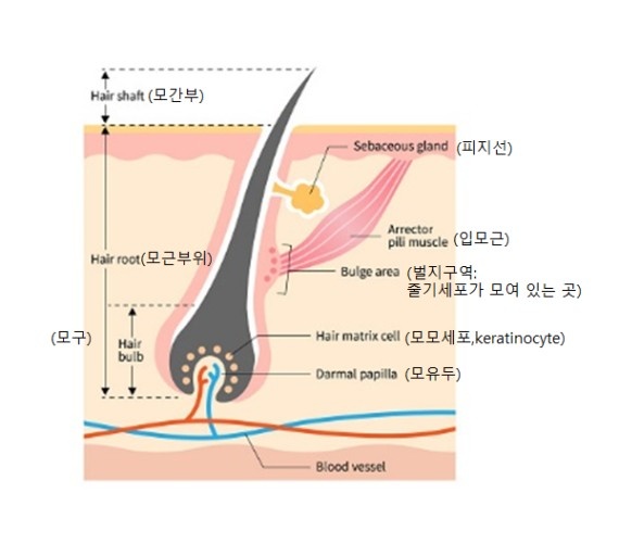 진주뷰티 이미지