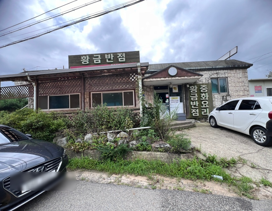 황금반점 이미지
