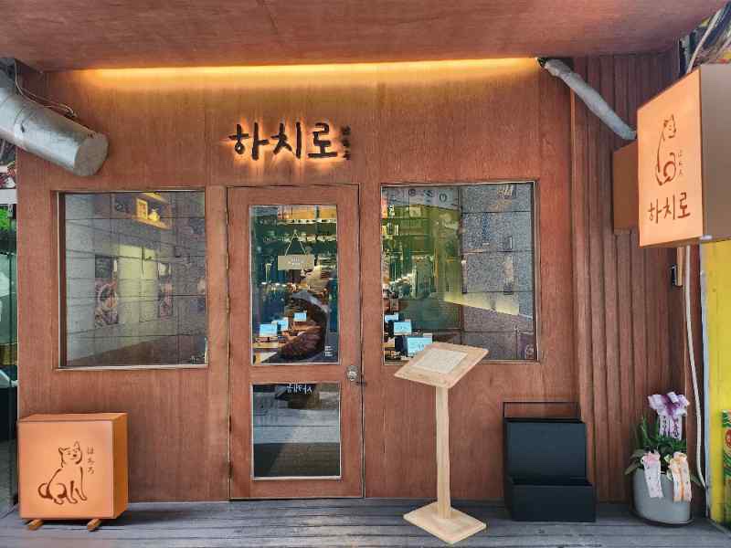 오늘은돈부리 이미지