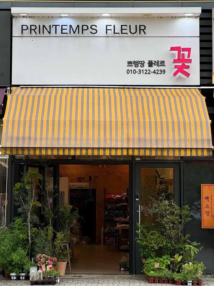 쁘렝땅플레르 이미지