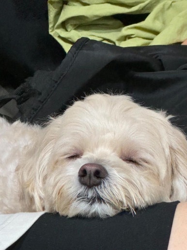 누엘 이미지