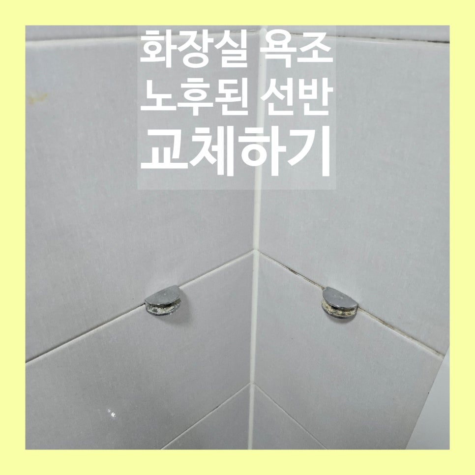 데이비드리페어 이미지