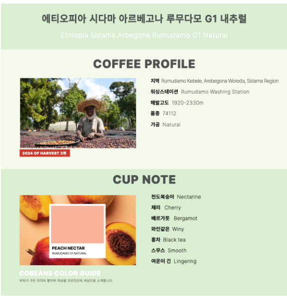 담비커피바 이미지