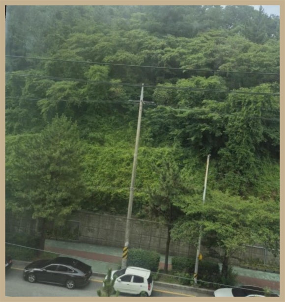 다이아스위핑 이미지