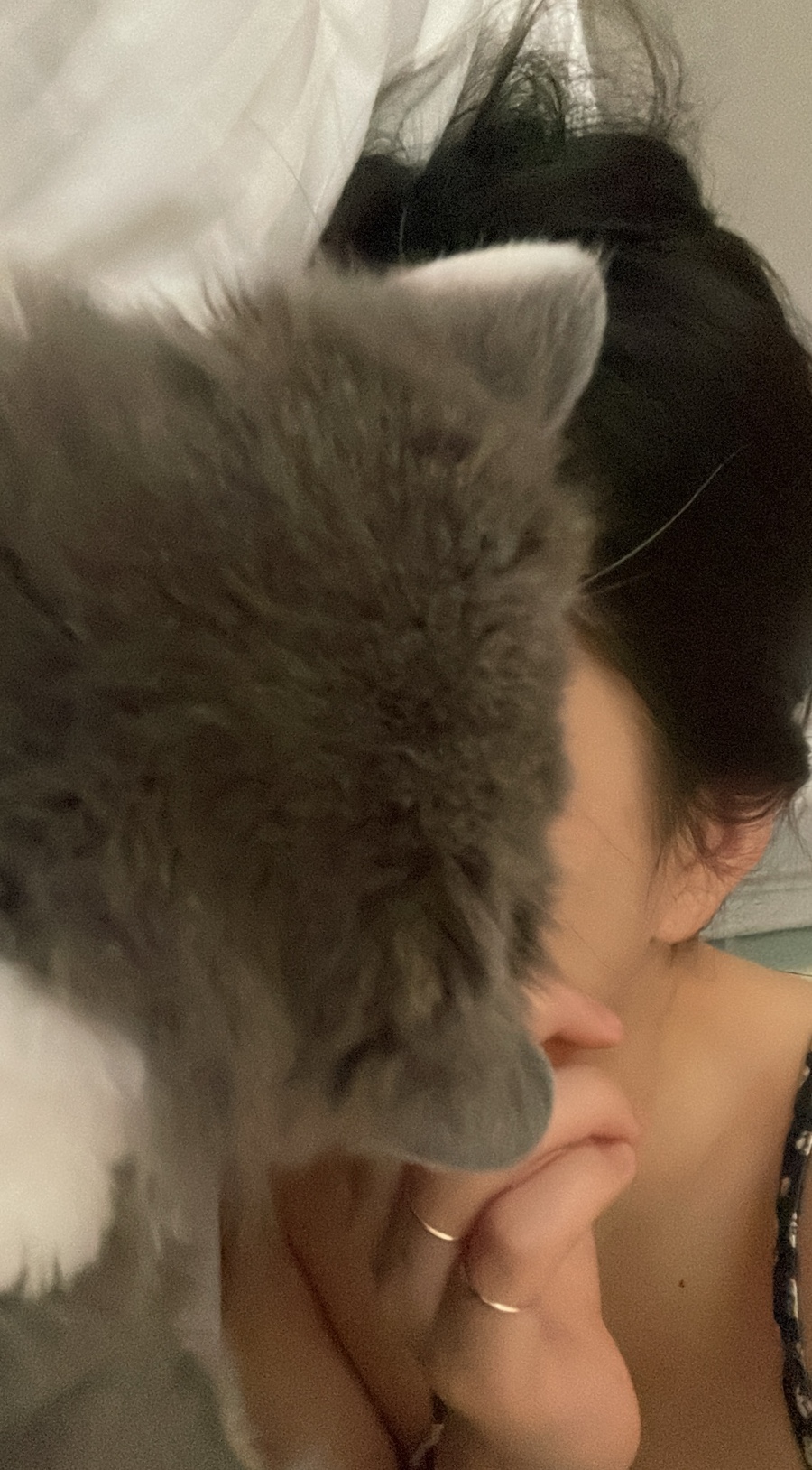 오다주웠다 이미지