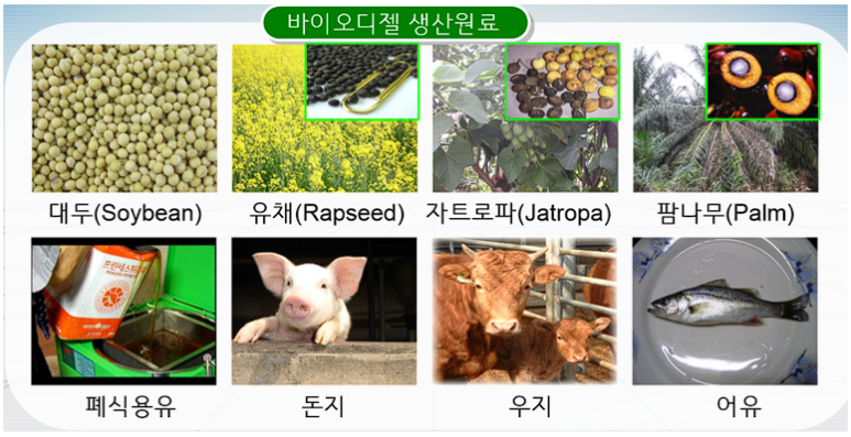 제이씨프라임 이미지
