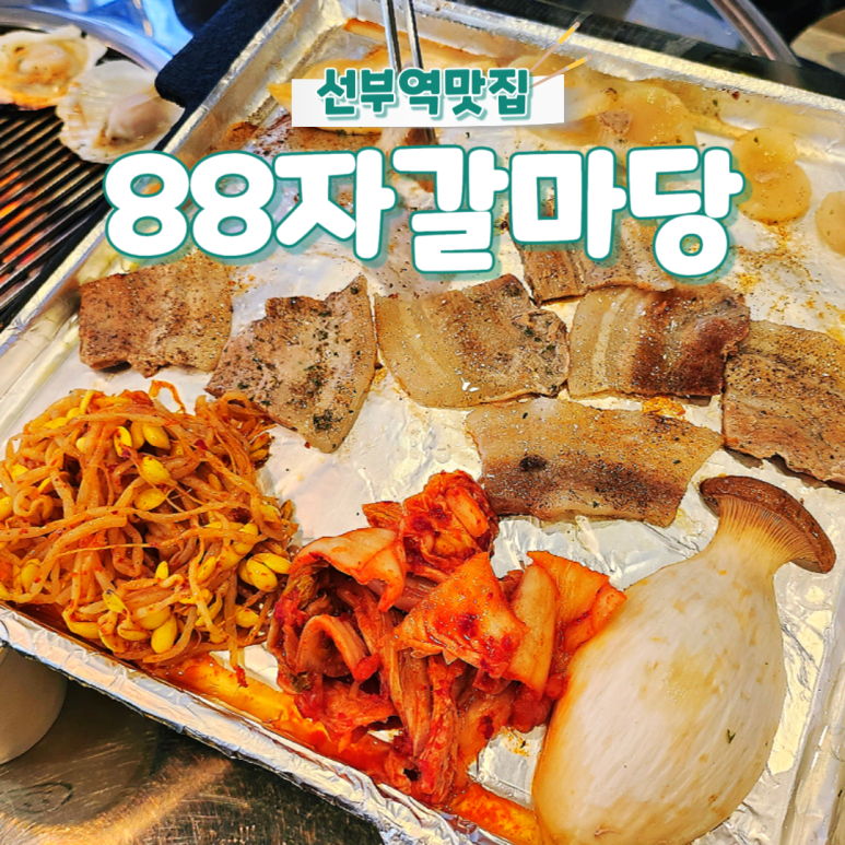 88자갈마당 이미지