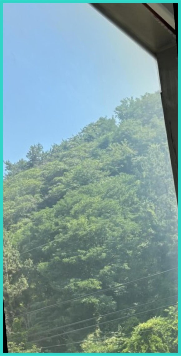 다이아스위핑 이미지